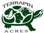Terrapin