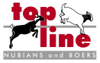 Topline