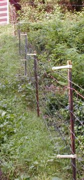 GOAT FENCE - WIRE MESH OR BARBED WIRE? - TRACTORBYNET